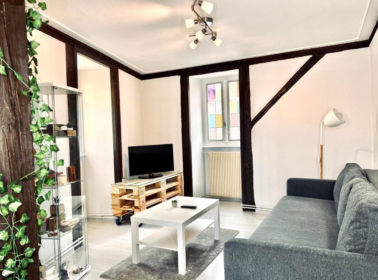 Seppala Charmant Appartement Кольмар Екстер'єр фото