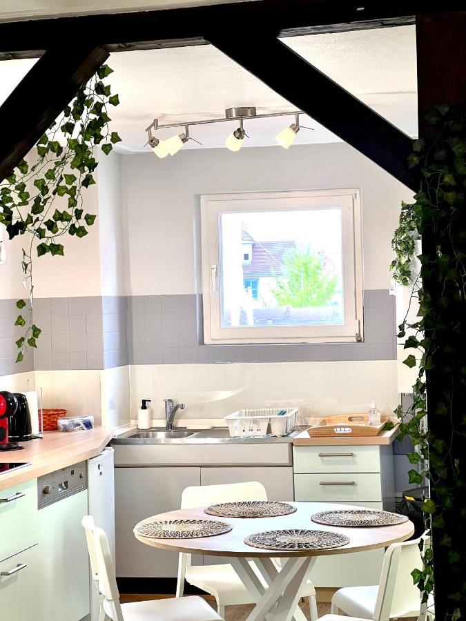 Seppala Charmant Appartement Кольмар Екстер'єр фото